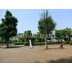 公園
