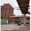 大学