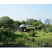 公園