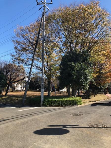 つくば市千現１丁目の売り土地 Mapfan