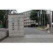 大学
