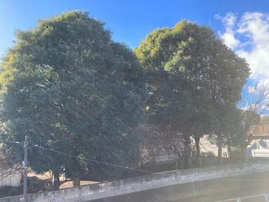 一日に一度はさわやかな風を体中で感じたい（10号棟）