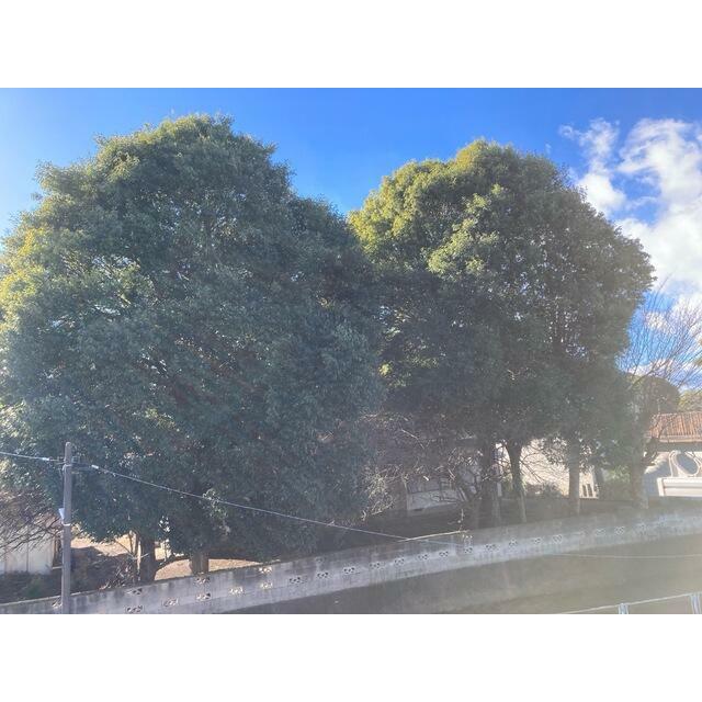 一日に一度はさわやかな風を体中で感じたい（10号棟）