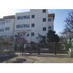 中学校