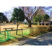 公園