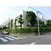 中学校