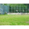 公園