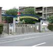 幼稚園、保育園