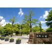 公園