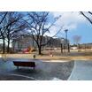 公園