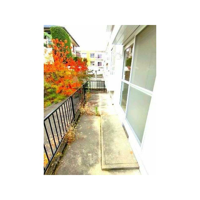 暖かな日差しがふりそそぎます