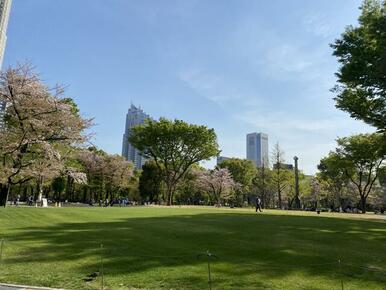 新宿中央公園