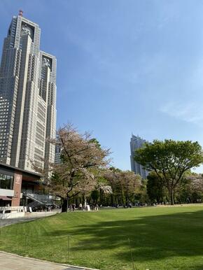 新宿中央公園