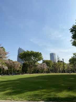 新宿中央公園