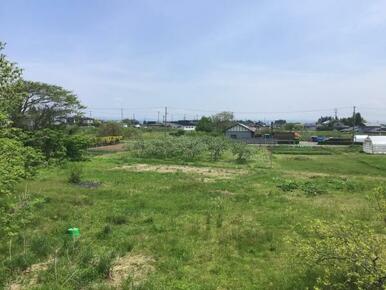 ２階からの眺望