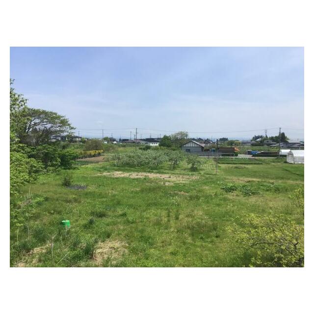 ２階からの眺望