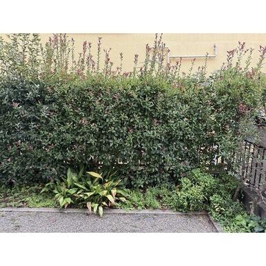 外は出られませんが洗濯物は干せます！