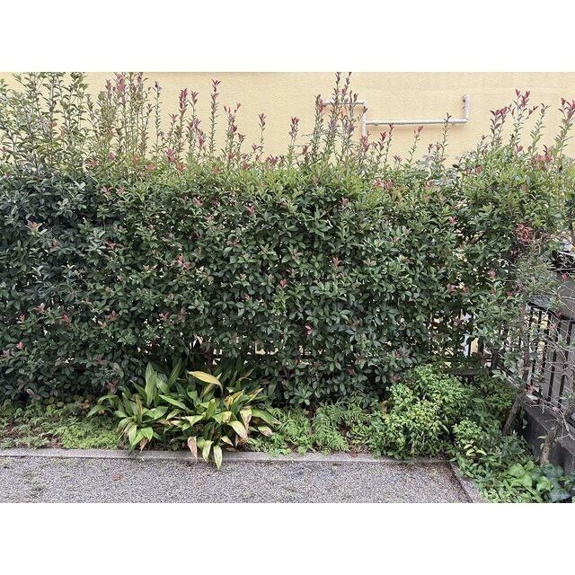 外は出られませんが洗濯物は干せます！