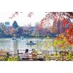 公園