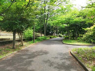 学校までの遊歩道