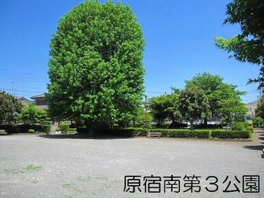 原宿南第３公園