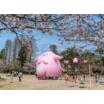 公園
