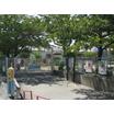 幼稚園、保育園