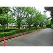 公園
