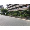 公園