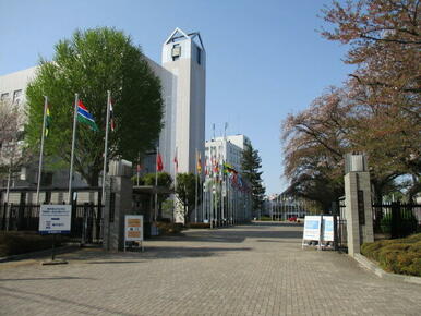 私立東京国際大学