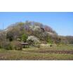 周辺環境