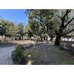 公園