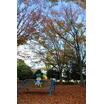 公園