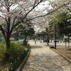公園