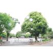 公園