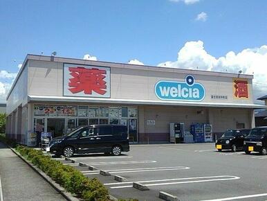ウィルシア 田中町店まで2200m