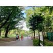公園