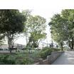 公園