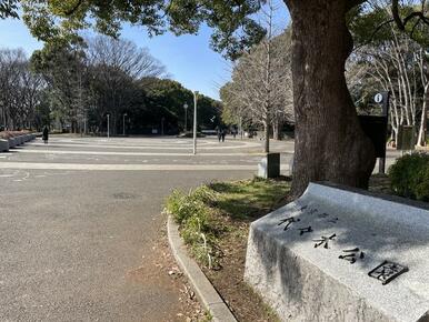 東京都立代々木公園