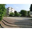 公園
