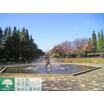 公園