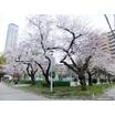 公園
