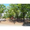 公園
