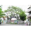 幼稚園、保育園