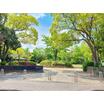 公園