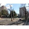 公園