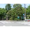公園