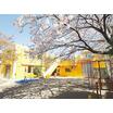 幼稚園、保育園