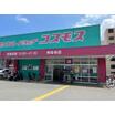販売店