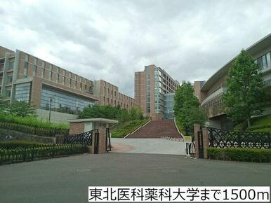 東北医科薬科大学